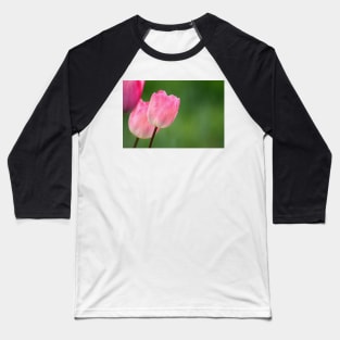 Pink tulips blossom close up, spring floral photo Baseball T-Shirt